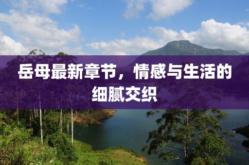 岳母最新章節(jié)，情感與生活的細(xì)膩交織