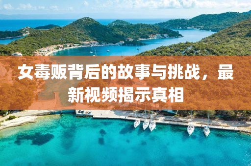 女毒販背后的故事與挑戰(zhàn)，最新視頻揭示真相