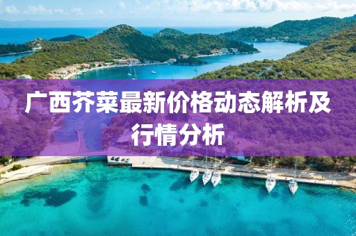 廣西芥菜最新價格動態(tài)解析及行情分析