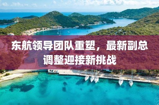 東航領(lǐng)導(dǎo)團(tuán)隊(duì)重塑，最新副總調(diào)整迎接新挑戰(zhàn)