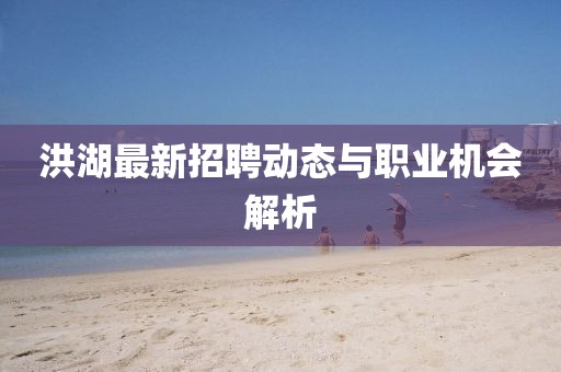 洪湖最新招聘動(dòng)態(tài)與職業(yè)機(jī)會(huì)解析