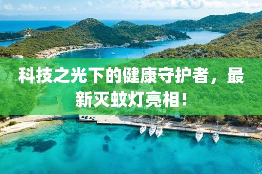 科技之光下的健康守護者，最新滅蚊燈亮相！