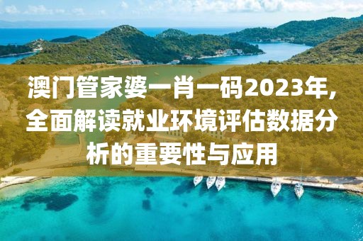 澳門(mén)管家婆一肖一碼2023年,全面解讀就業(yè)環(huán)境評(píng)估數(shù)據(jù)分析的重要性與應(yīng)用