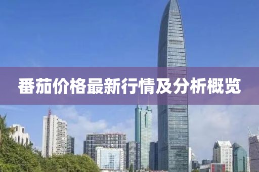 番茄價格最新行情及分析概覽