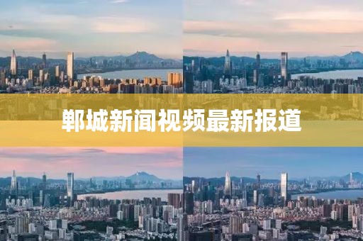 鄲城新聞視頻最新報道