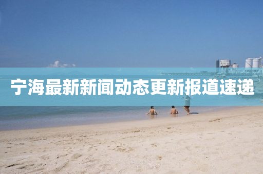 寧海最新新聞動態(tài)更新報道速遞