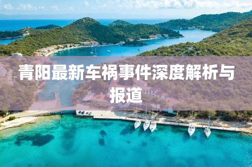 青陽最新車禍?zhǔn)录疃冉馕雠c報道