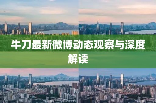 牛刀最新微博動態(tài)觀察與深度解讀