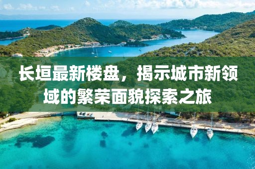 長(zhǎng)垣最新樓盤，揭示城市新領(lǐng)域的繁榮面貌探索之旅