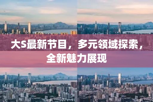 大S最新節(jié)目，多元領域探索，全新魅力展現