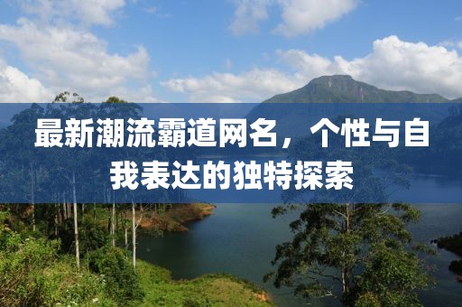最新潮流霸道網(wǎng)名，個性與自我表達的獨特探索