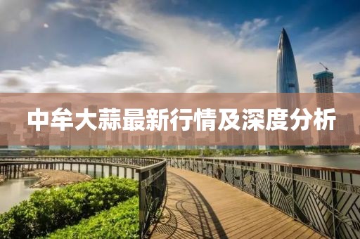 中牟大蒜最新行情及深度分析