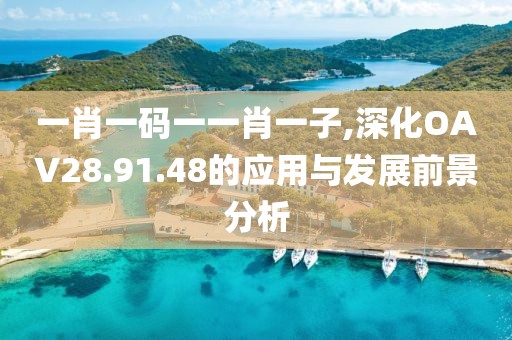 一肖一碼一一肖一子,深化OAV28.91.48的應(yīng)用與發(fā)展前景分析