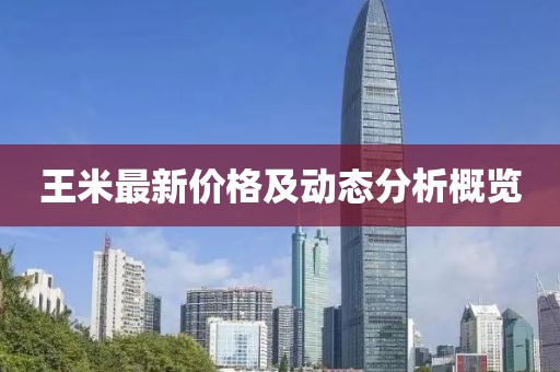 王米最新價格及動態(tài)分析概覽