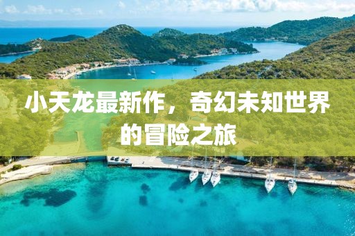 小天龍最新作，奇幻未知世界的冒險之旅