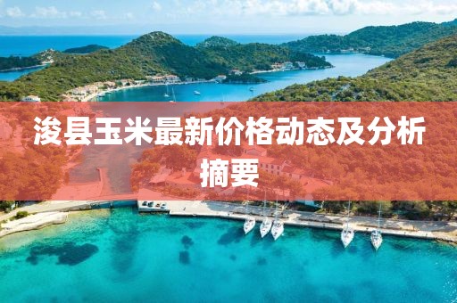 ?？h玉米最新價(jià)格動(dòng)態(tài)及分析摘要