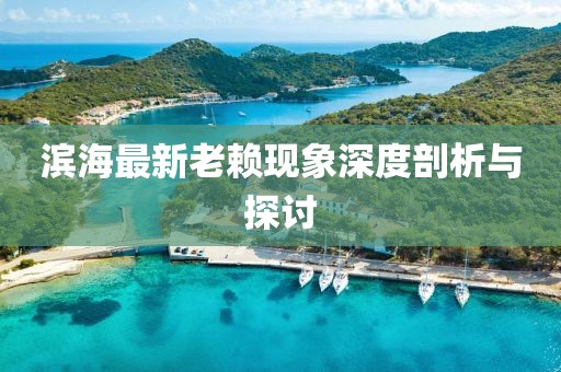 濱海最新老賴現(xiàn)象深度剖析與探討