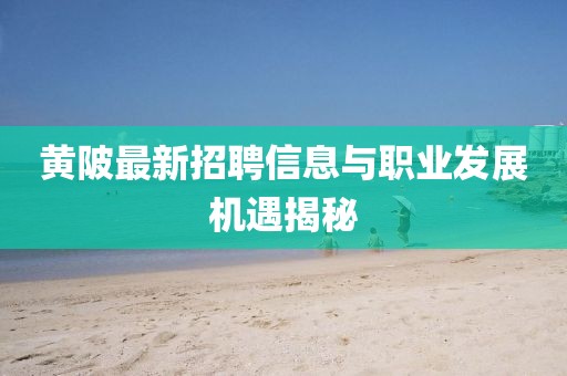 黃陂最新招聘信息與職業(yè)發(fā)展機遇揭秘