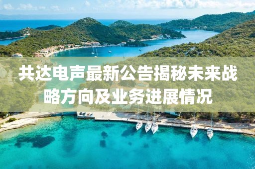 共達(dá)電聲最新公告揭秘未來戰(zhàn)略方向及業(yè)務(wù)進(jìn)展情況