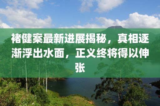 褚健案最新進(jìn)展揭秘，真相逐漸浮出水面，正義終將得以伸張
