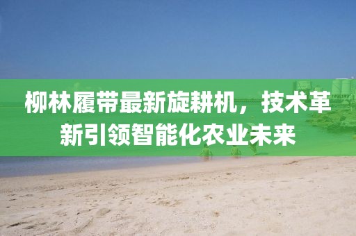 柳林履帶最新旋耕機，技術(shù)革新引領(lǐng)智能化農(nóng)業(yè)未來