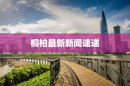 桐柏最新新聞速遞