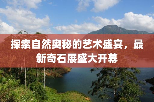 探索自然奧秘的藝術(shù)盛宴，最新奇石展盛大開幕