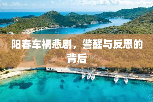 陽春車禍悲劇，警醒與反思的背后