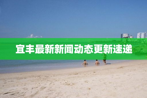 宜豐最新新聞動(dòng)態(tài)更新速遞