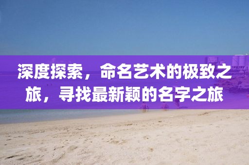 深度探索，命名藝術(shù)的極致之旅，尋找最新穎的名字之旅