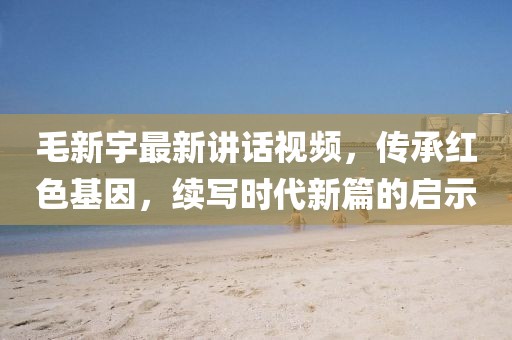 毛新宇最新講話視頻，傳承紅色基因，續(xù)寫時代新篇的啟示