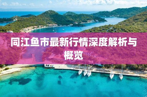 同江魚市最新行情深度解析與概覽
