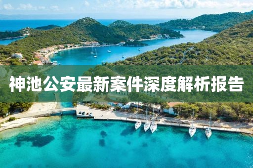 神池公安最新案件深度解析報(bào)告