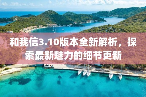 和我信3.10版本全新解析，探索最新魅力的細(xì)節(jié)更新