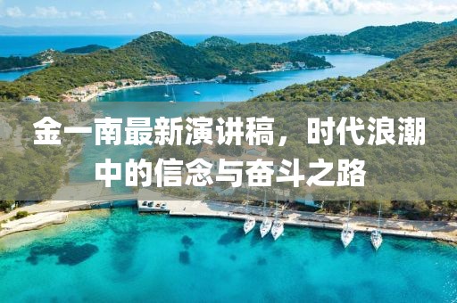 金一南最新演講稿，時(shí)代浪潮中的信念與奮斗之路