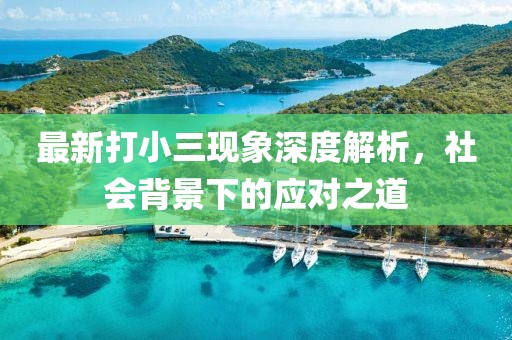 最新打小三現(xiàn)象深度解析，社會(huì)背景下的應(yīng)對(duì)之道