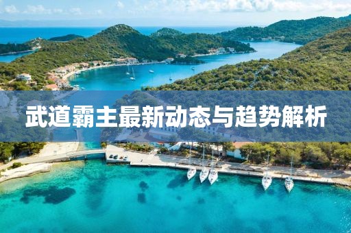 武道霸主最新動(dòng)態(tài)與趨勢(shì)解析