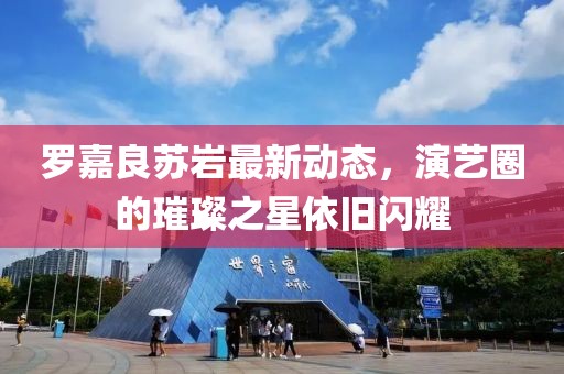 羅嘉良蘇巖最新動態(tài)，演藝圈的璀璨之星依舊閃耀