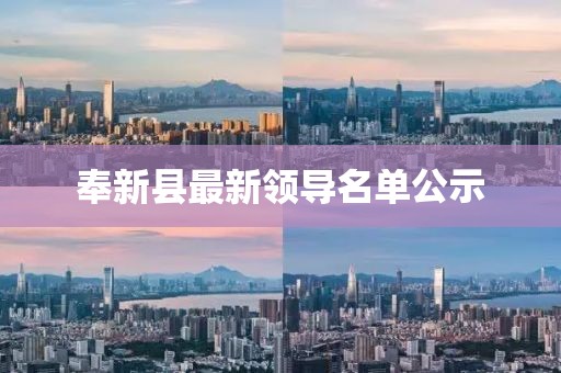 奉新縣最新領(lǐng)導(dǎo)名單公示