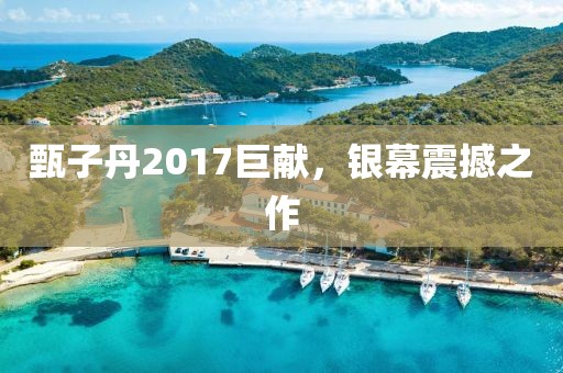 甄子丹2017巨獻(xiàn)，銀幕震撼之作