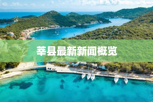 莘縣最新新聞概覽