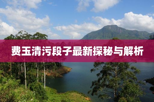 費玉清污段子最新探秘與解析