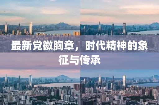 最新黨徽胸章，時(shí)代精神的象征與傳承