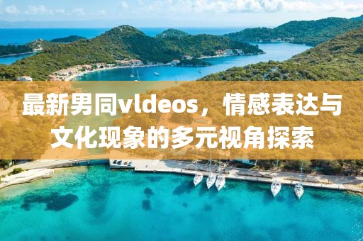 最新男同vldeos，情感表達與文化現(xiàn)象的多元視角探索
