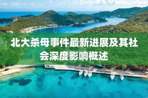 北大殺母事件最新進(jìn)展及其社會(huì)深度影響概述