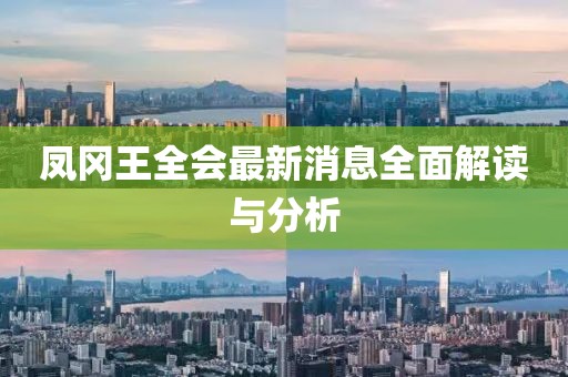 鳳岡王全會最新消息全面解讀與分析