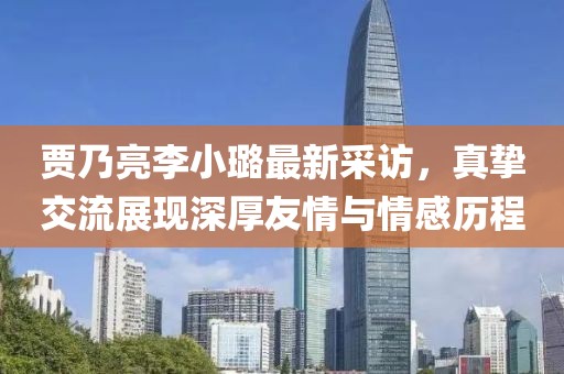賈乃亮李小璐最新采訪，真摯交流展現(xiàn)深厚友情與情感歷程