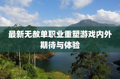 最新無赦單職業(yè)重塑游戲內(nèi)外期待與體驗(yàn)