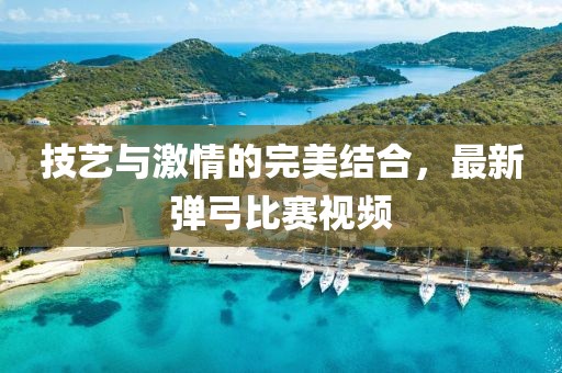 技藝與激情的完美結(jié)合，最新彈弓比賽視頻