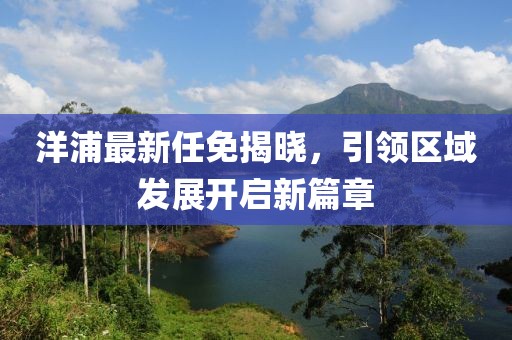 洋浦最新任免揭曉，引領區(qū)域發(fā)展開啟新篇章